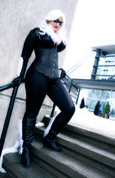 Black Cat by Arctic--Revolution