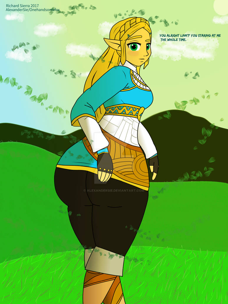 Zelda:BOTW by AlexanderSie on DeviantArt