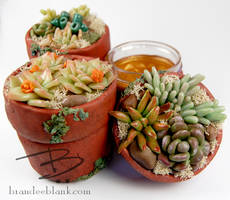 Faux Succulent Jars in Polymer Clay