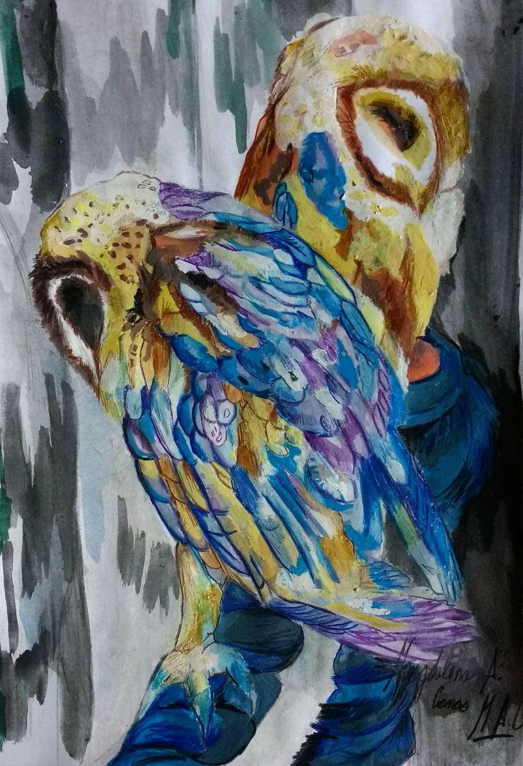 Sleeping Owls by DarkStormSeeker