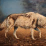 Wolf in Oil