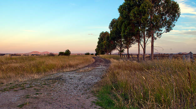 Country Lane