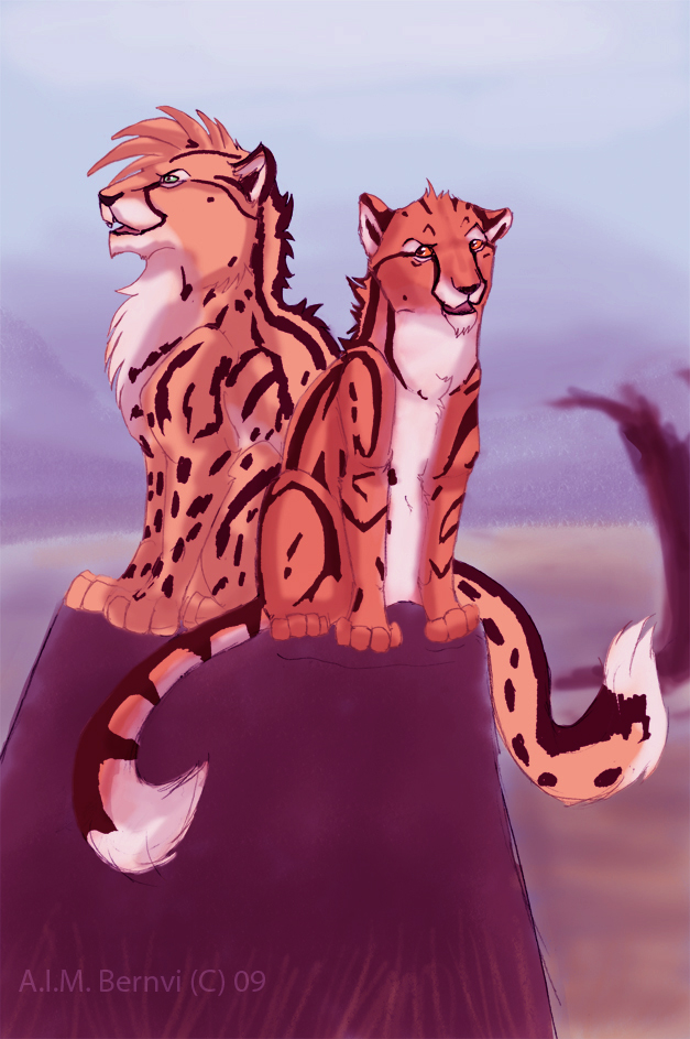 speed paint cheetahs