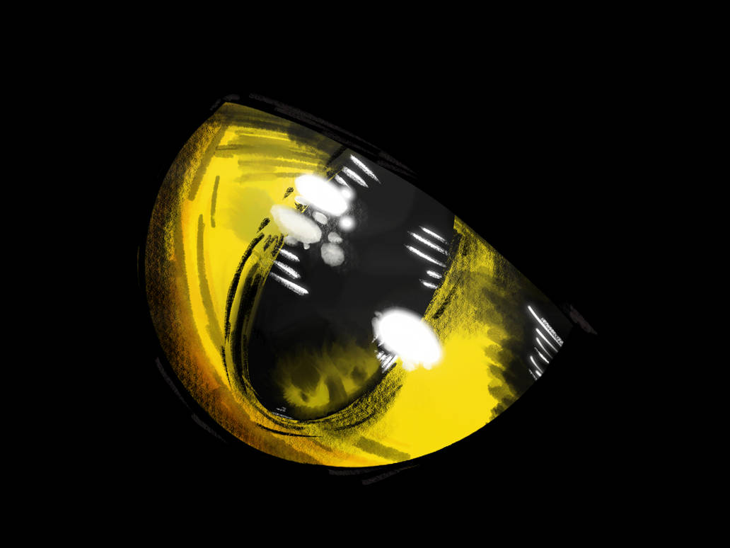 Shiny eye by rayneedp on DeviantArt