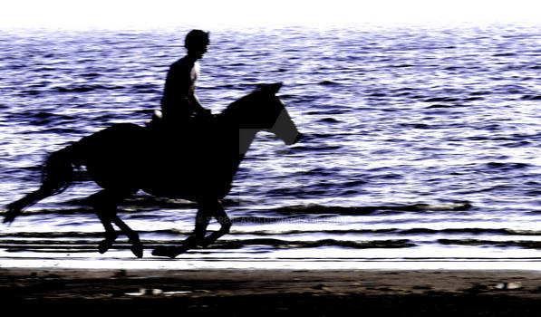 Beach Gallop