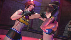 Hitomi's Test - MMA Fight