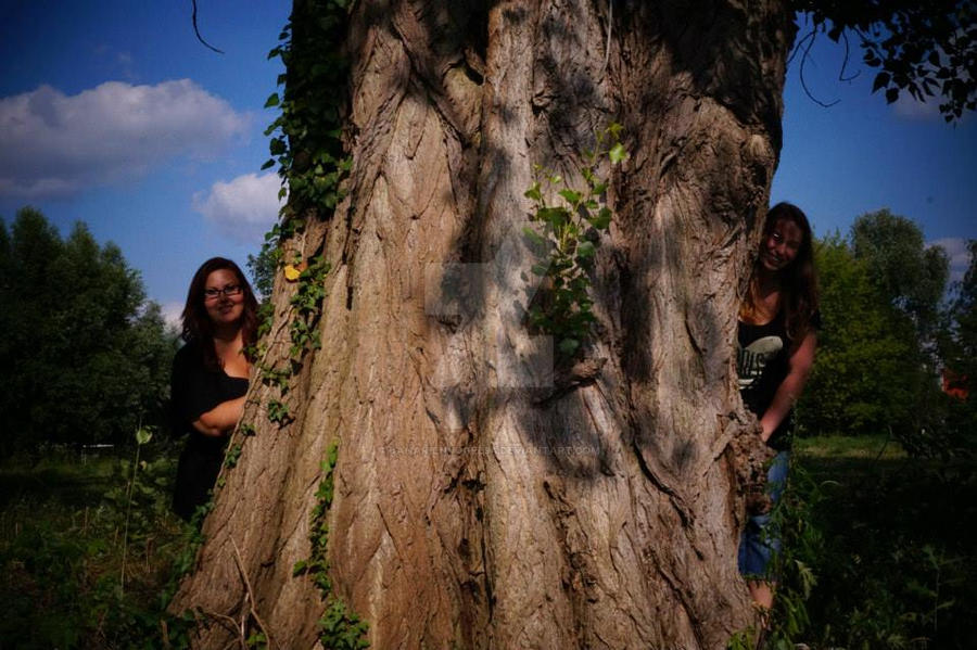 Big tree and best friends by Kanarienvogel94 on DeviantArt
