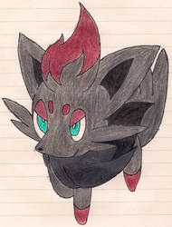 Zorua