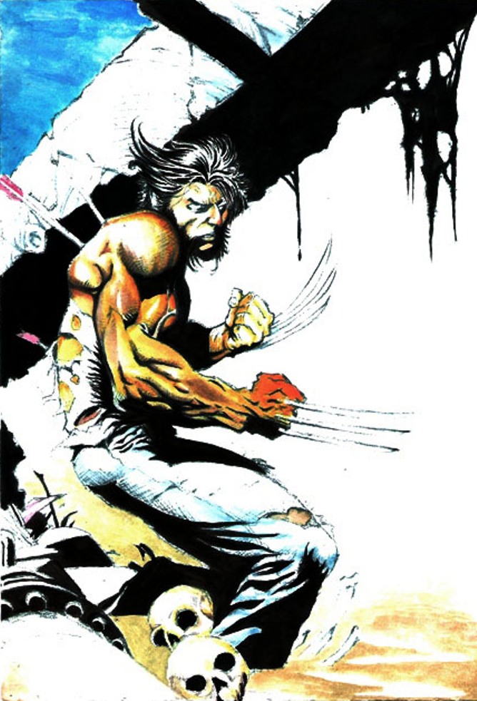 wolverine fan art by ammoyusan on DeviantArt