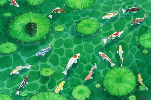 Koi Pond