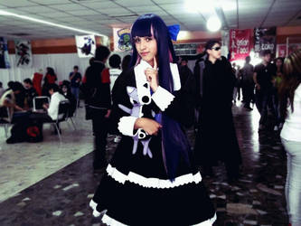 Stocking Anarchy~