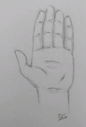 Hand drawing practice