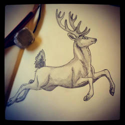 Stag tattoo design