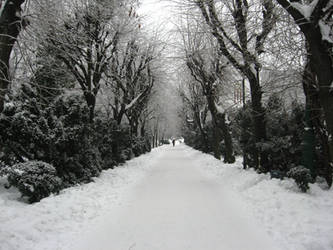 Snow Filled Alley