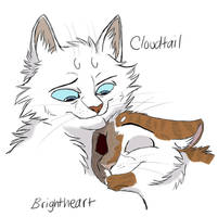 cloudtail and brightheart