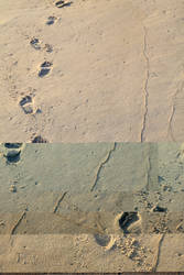 Footprints Motivational Poster