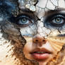 The cracked road of memories