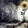 Petrified Shadow