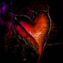 .:Heart:.
