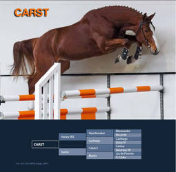 CARST (Harley VDL x Calido I)