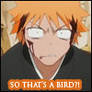 Icon Ichigo 14