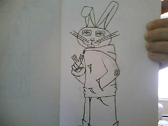 Modern Native Bunny drawing