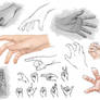 Study - Hands