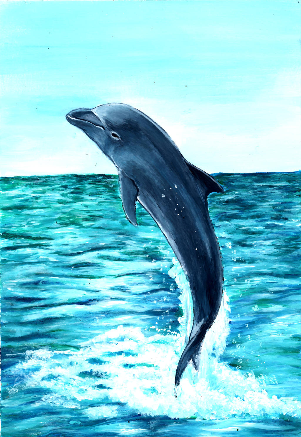 Dolphin