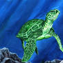 Green sea turtle