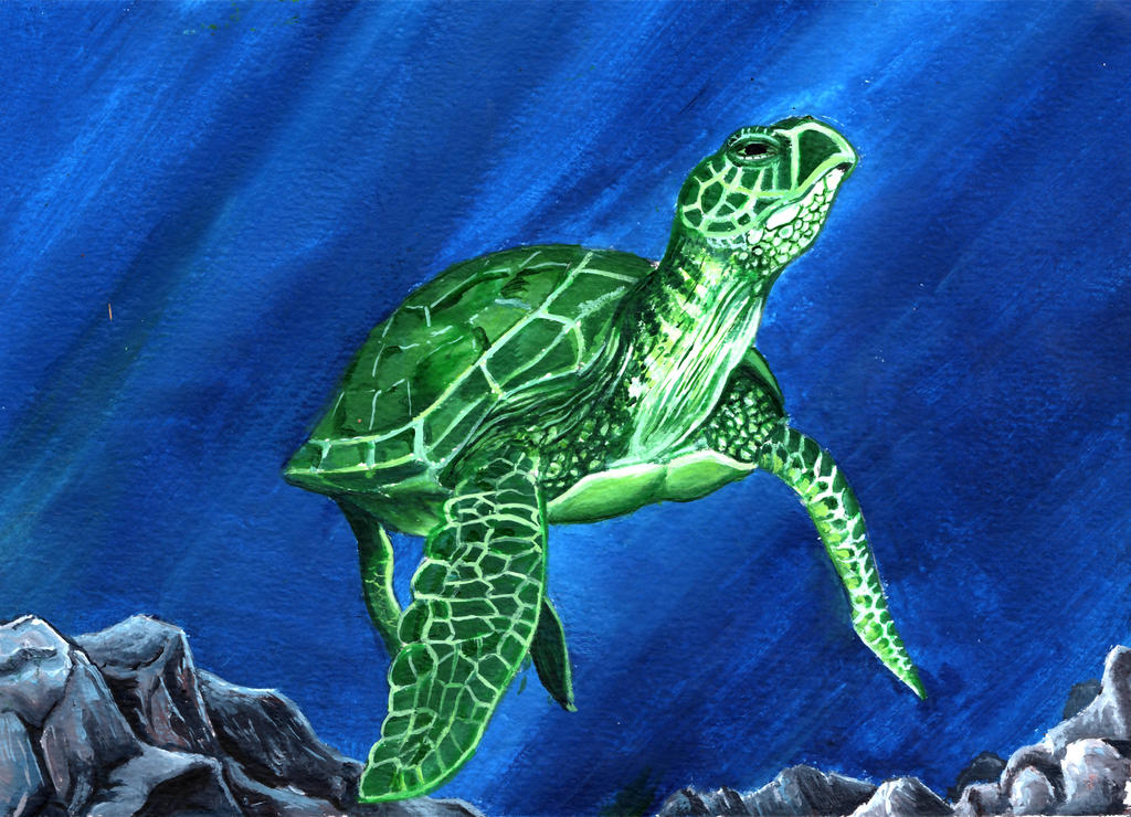Green sea turtle by grim1978 on DeviantArt