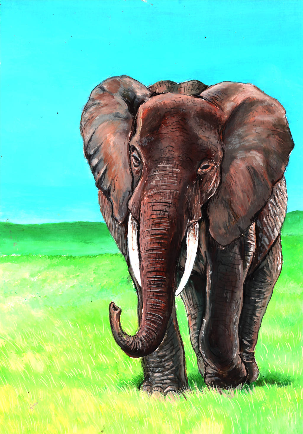 African Elephant