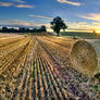 Last of the Bales