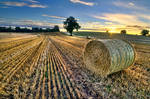 Last of the Bales by Bootcoot