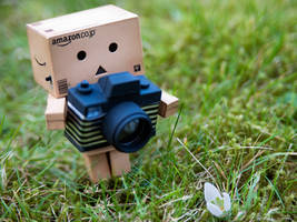 Danbo's New Hobby