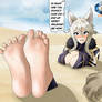 YCH zeta feet in sand,tickle,socks,pack download