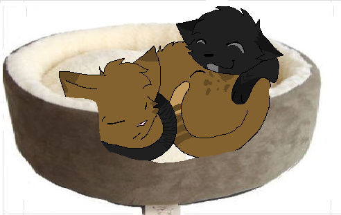 totally platonic cuddling by Wulfgurl on DeviantArt