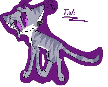 Tak the Cat