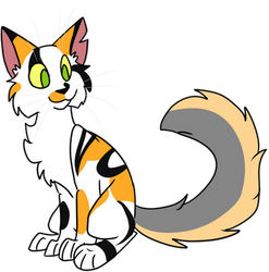CHARITY COMM: Bluestar1037431