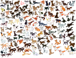 B Warriors (Large File)