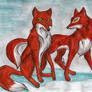 AoFW - Fox and Vixen