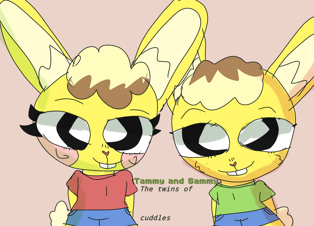 Sammy and Tammy the Bunny/bear by jmmmjnj on DeviantArt