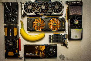 Graphic Cards Overal Shot