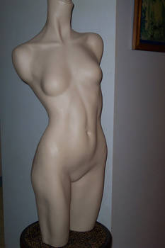 mannequin body 5