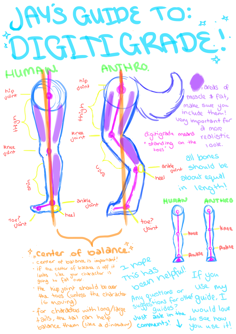 Jay's Guide To Digitgrade Legs by basenjiboy on DeviantArt