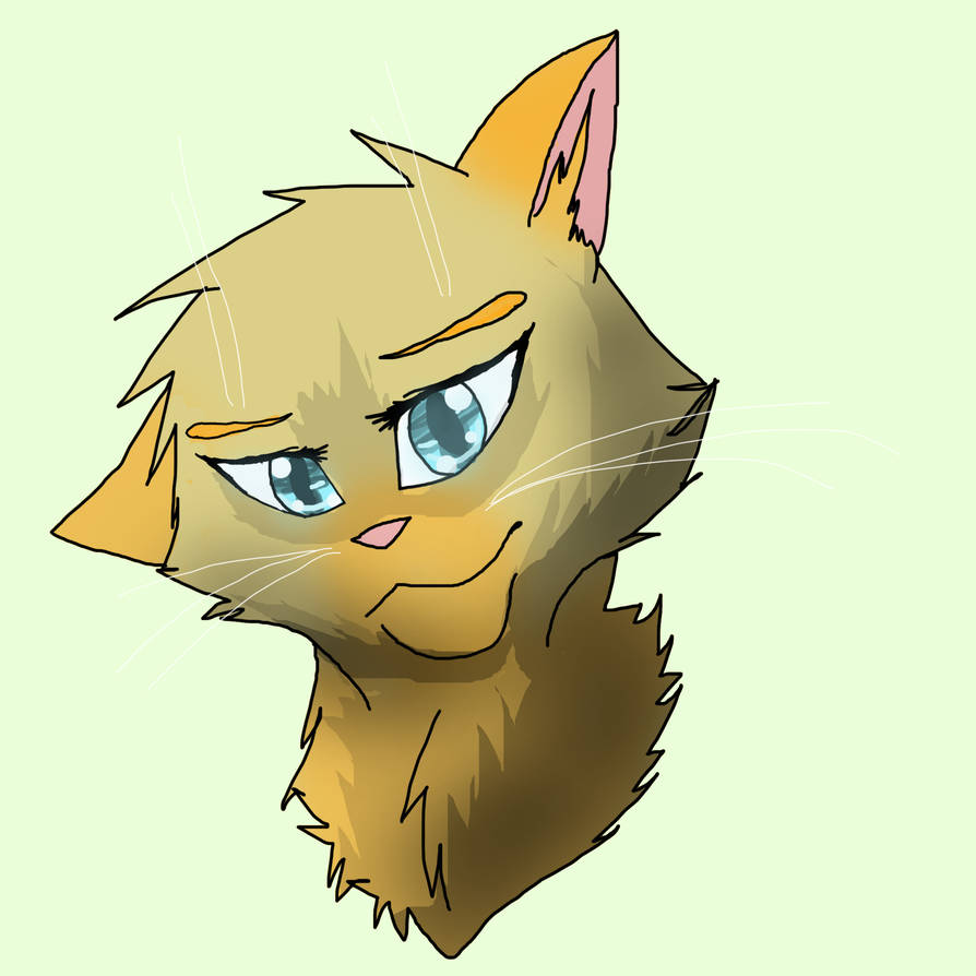 Sunpelt Warrior Cats OC by WarriorCat3042 on DeviantArt Sunpelt Warrior Cats OC by WarriorCat3042 on DeviantArt
