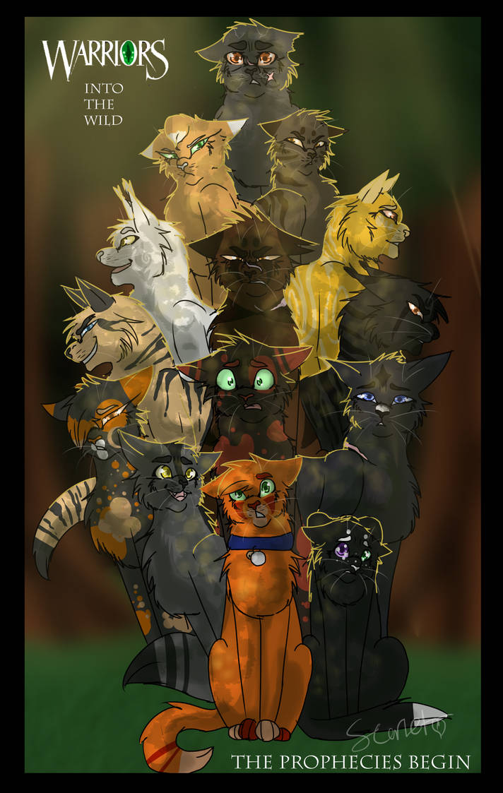 Warrior Cats Into The Wild by TiredPandaBoy on DeviantArt