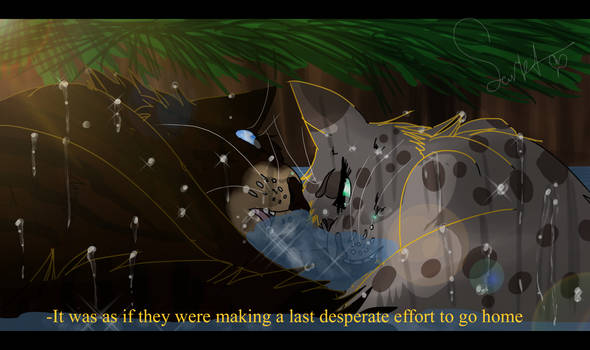 Final Efforts (Warrior Cats)