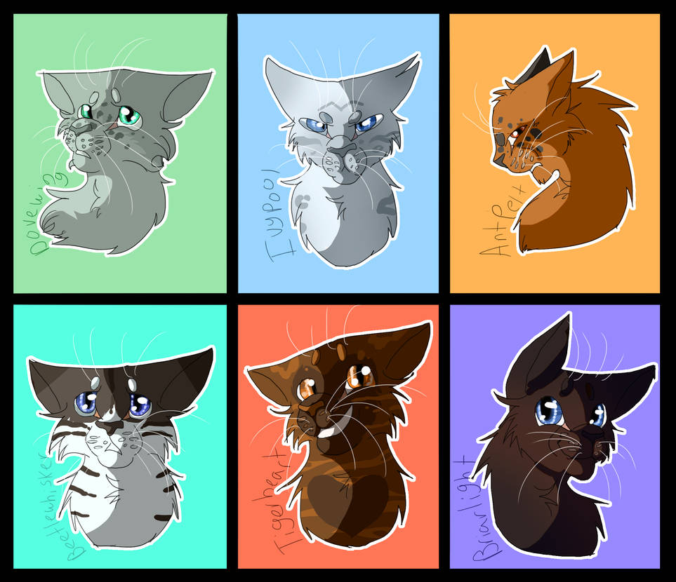Warrior Cats Character Sheet by South-Williams on DeviantArt