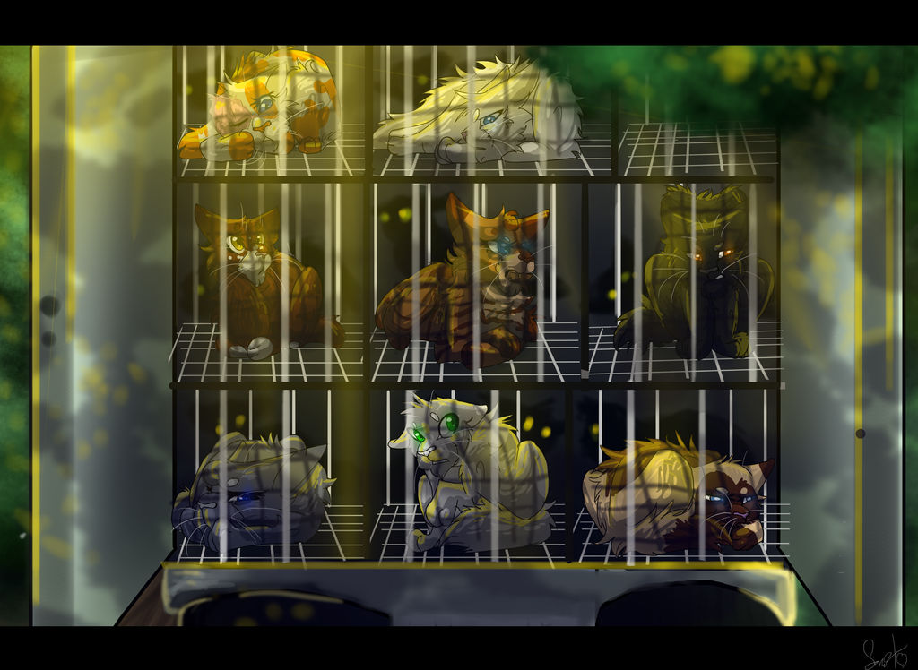 warrior captured cats warriorcat3042 deviantart simatra shadows spottedleaf sandstorm fanart twin