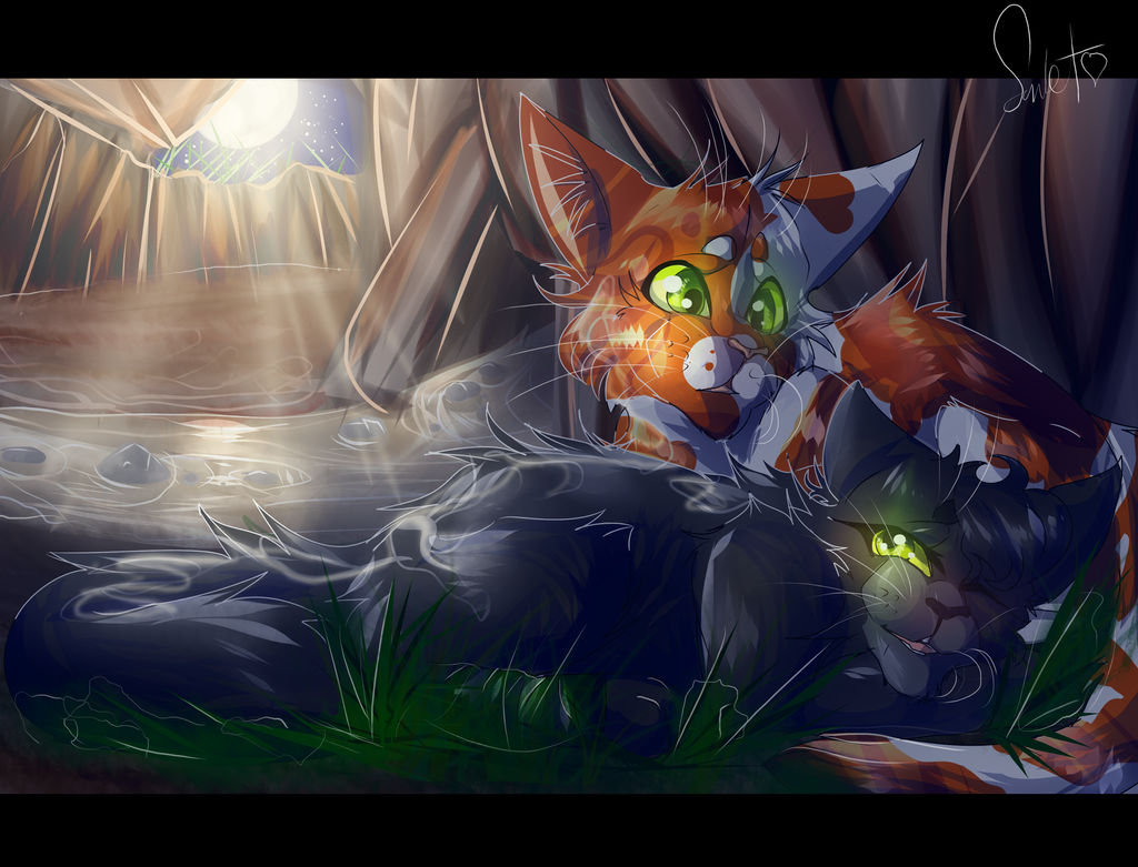 Hollyleaf And Fallen Leaves Warrior Cats By Warriorcat3042 On Deviantart Hollyleaf And Fallen Leaves Warrior Cats By Warriorcat3042 On Deviantart